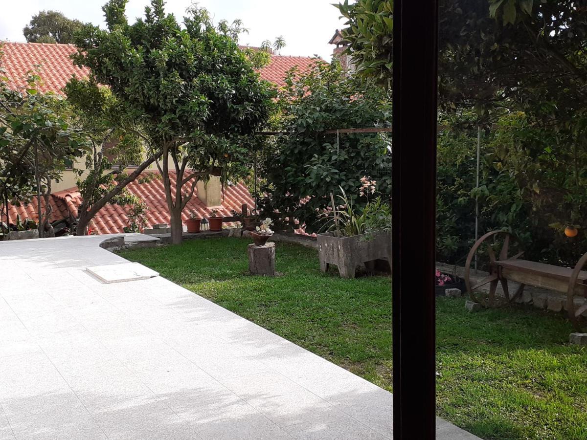 Appartement Casa De Santa Luzia A à Vila Praia de Âncora Extérieur photo
