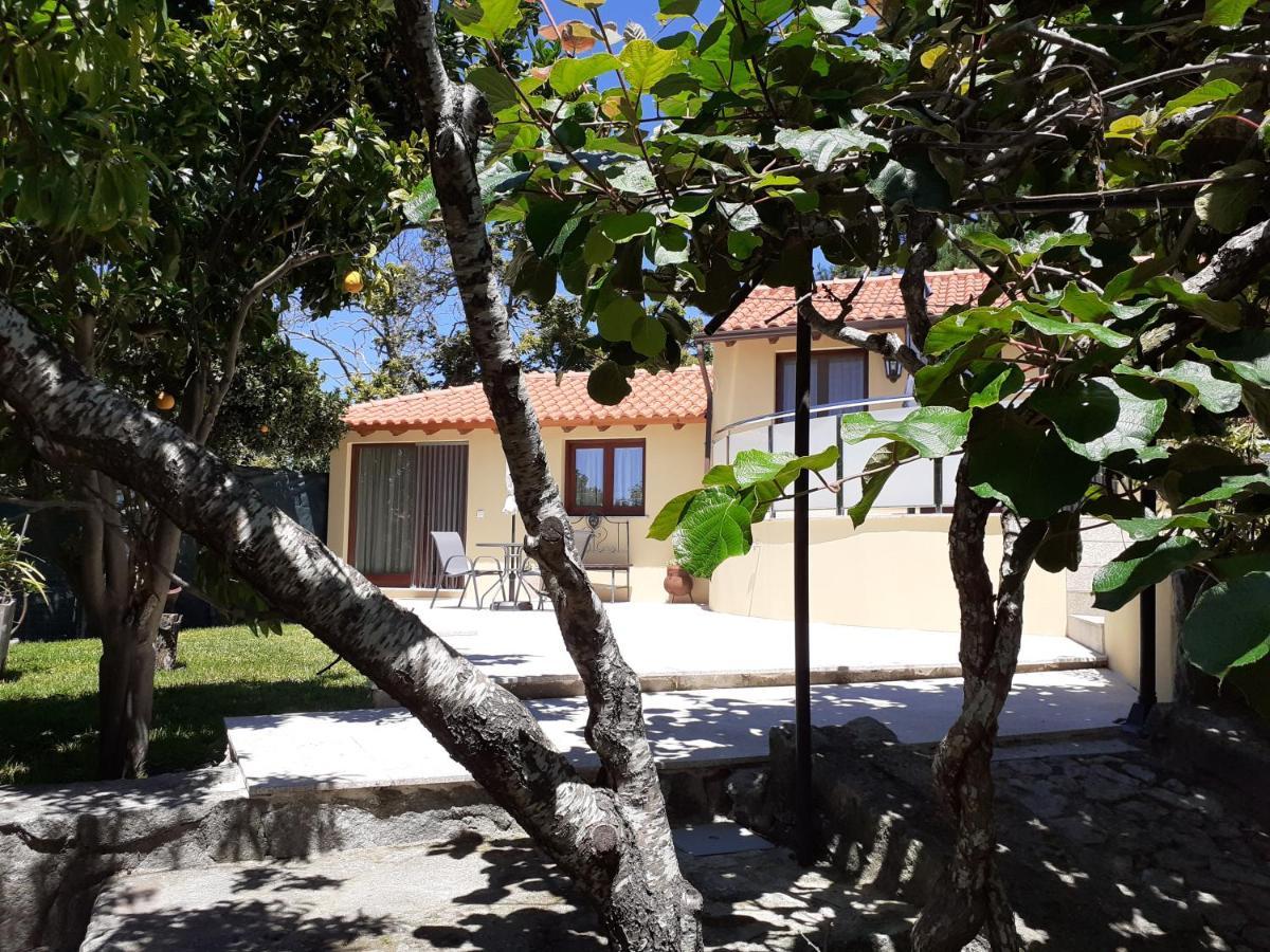 Appartement Casa De Santa Luzia A à Vila Praia de Âncora Extérieur photo