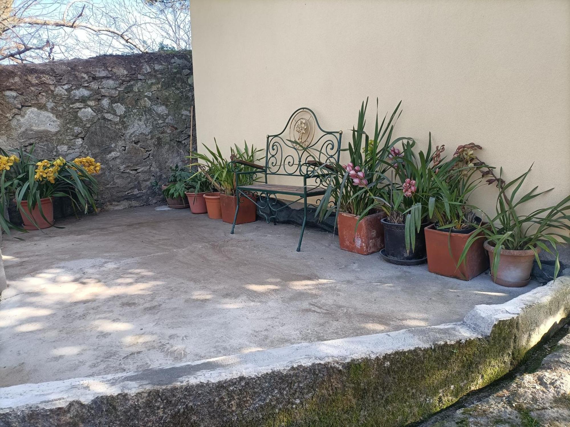Appartement Casa De Santa Luzia A à Vila Praia de Âncora Extérieur photo
